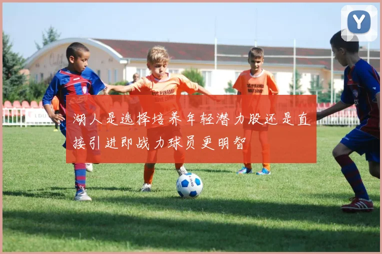 湖人是选择培养年轻潜力股还是直接引进即战力球员更明智
